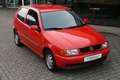 Volkswagen Polo 1,3 6N Oldtimer,H-Kenzeichen,Classic Data Rouge - thumbnail 8