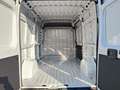 Fiat Ducato Ducato 35 2.2 Mjt 140CV PM-TM Furgone Bianco - thumbnail 13
