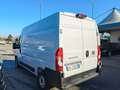 Fiat Ducato Ducato 35 2.2 Mjt 140CV PM-TM Furgone Bianco - thumbnail 6