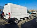 Fiat Ducato Ducato 35 2.2 Mjt 140CV PM-TM Furgone Bianco - thumbnail 4