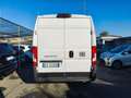 Fiat Ducato Ducato 35 2.2 Mjt 140CV PM-TM Furgone Bianco - thumbnail 5