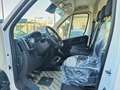 Fiat Ducato Ducato 35 2.2 Mjt 140CV PM-TM Furgone Bianco - thumbnail 7