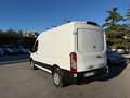 Ford TRANSIT Blanc - thumbnail 4