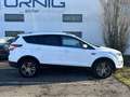 Ford Kuga 1,5 EcoBoost Titanium Start/Stop Weiß - thumbnail 6