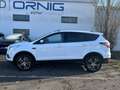 Ford Kuga 1,5 EcoBoost Titanium Start/Stop Weiß - thumbnail 3