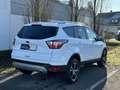 Ford Kuga 1,5 EcoBoost Titanium Start/Stop Weiß - thumbnail 4