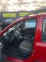 Fiat Panda 1.1 8V Active *NEUE ALLWETTERREIFEN / TÜV NEU* Rot - thumbnail 7