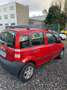 Fiat Panda 1.1 8V Active *NEUE ALLWETTERREIFEN / TÜV NEU* Rot - thumbnail 4