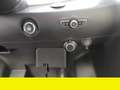 Casalini Sonstige - thumbnail 6