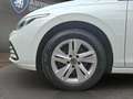 Volkswagen Golf VIII Var. 2.0 TDI DSG Life LED+NAVI+APP Klima Blanco - thumbnail 10
