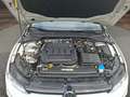 Volkswagen Golf VIII Var. 2.0 TDI DSG Life LED+NAVI+APP Klima Blanco - thumbnail 9