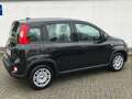 Fiat Panda 1.0 GSE Hybrid 2024 Sitzheizung Fahrerseit Negro - thumbnail 5