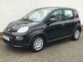 Fiat Panda 1.0 GSE Hybrid 2024 Sitzheizung Fahrerseit Negro - thumbnail 1