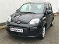 Fiat Panda 1.0 GSE Hybrid 2024 Sitzheizung Fahrerseit Negro - thumbnail 2
