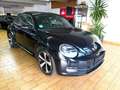 Volkswagen New Beetle Fekete - thumbnail 5