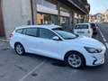 Ford Focus SW 1.5 Business*NO VINCOLO FINANZIAMENTO Blanc - thumbnail 1