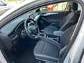 Ford Focus SW 1.5 Business*NO VINCOLO FINANZIAMENTO Blanc - thumbnail 5