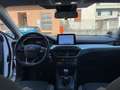Ford Focus SW 1.5 Business*NO VINCOLO FINANZIAMENTO Blanc - thumbnail 9