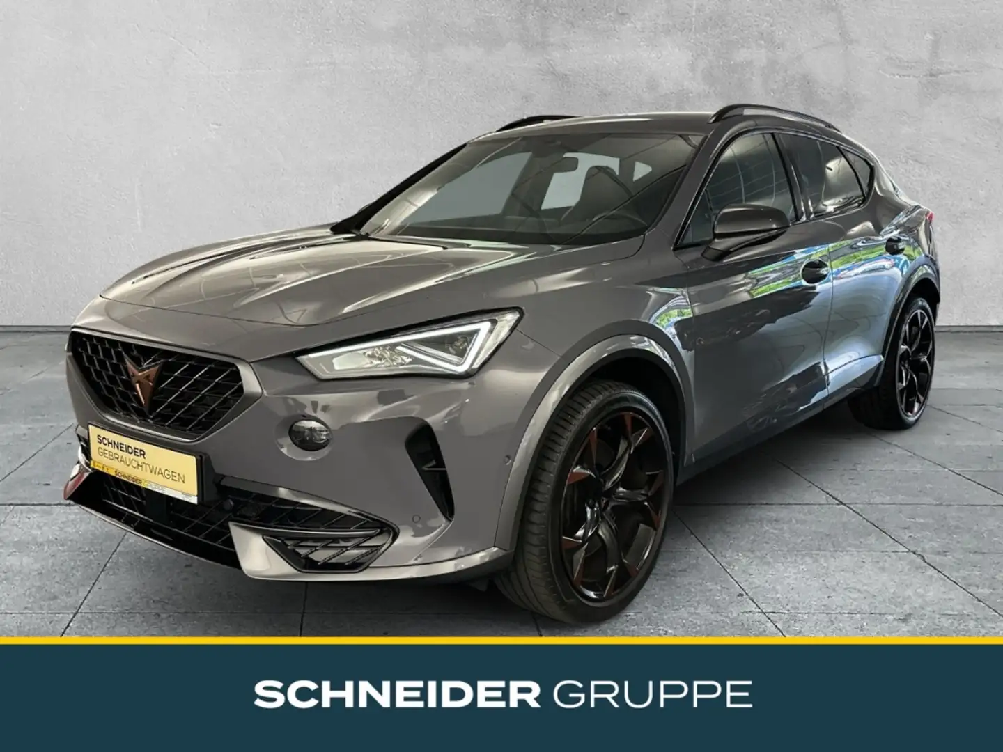 CUPRA Formentor VZ 4Drive 2.0 TSI NAVI+ACC+19+KLIMA Grau - 1