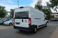 Fiat Ducato 2. Hand / Klima / Kamera / L4H2 / FN:90 Weiß - thumbnail 5