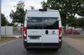 Fiat Ducato 2. Hand / Klima / Kamera / L4H2 / FN:90 Weiß - thumbnail 4