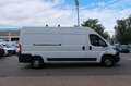 Fiat Ducato 2. Hand / Klima / Kamera / L4H2 / FN:90 Weiß - thumbnail 6
