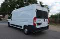 Fiat Ducato 2. Hand / Klima / Kamera / L4H2 / FN:90 Weiß - thumbnail 3