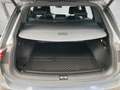Volkswagen Tiguan Allspace R-Line TDI 4MOTION DSG Grau - thumbnail 15