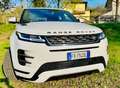 Land Rover Range Rover Evoque Range Rover Evoque 2.0D I4-L.Flw 150 CV AWD Auto Blanc - thumbnail 5