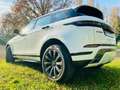 Land Rover Range Rover Evoque Range Rover Evoque 2.0D I4-L.Flw 150 CV AWD Auto Bianco - thumbnail 12