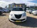 Lancia Ypsilon Ypsilon metano Blanc - thumbnail 1
