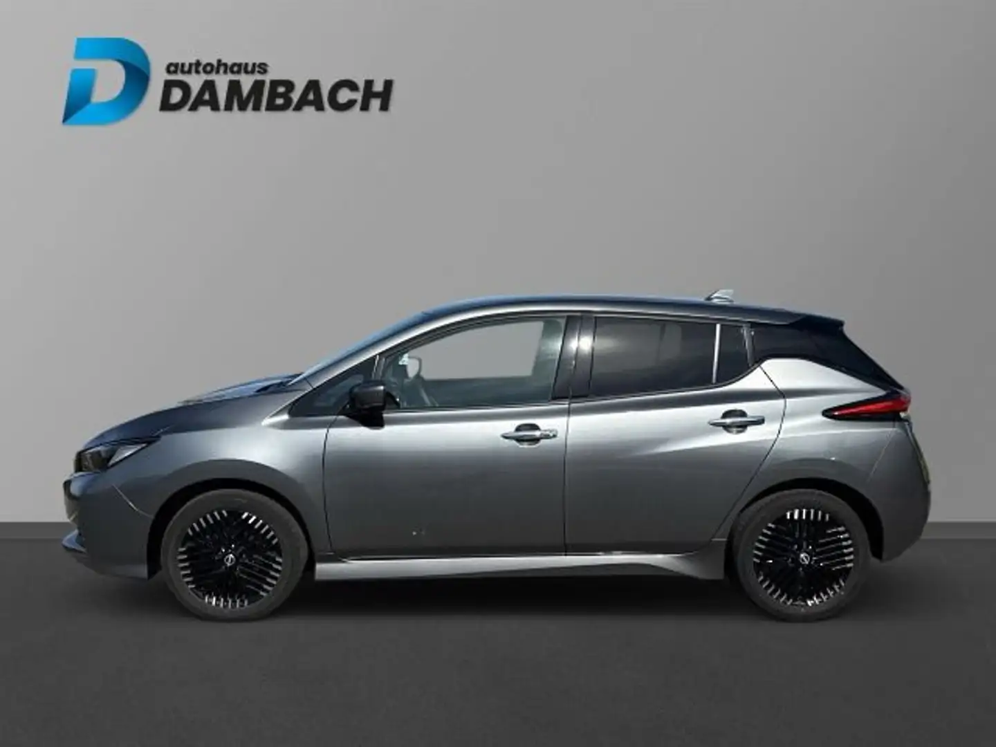 Nissan Leaf e+ N-Connecta Grijs - 2