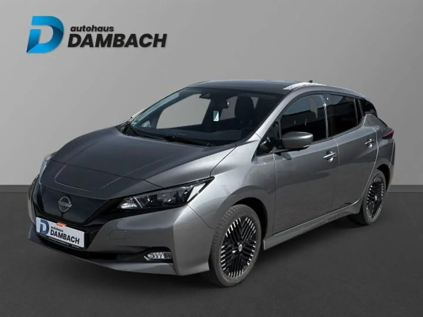Nissan Leaf e+ N-Connecta Grijs - 1