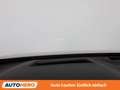 Mazda MX-30 electric drive 107 kW First Edition Rot - thumbnail 22