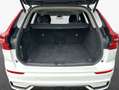 Volvo XC60 XC60 B5 B AWD Plus Dark Weiß - thumbnail 9
