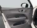 Volvo XC60 XC60 B5 B AWD Plus Dark Weiß - thumbnail 20