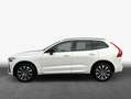 Volvo XC60 XC60 B5 B AWD Plus Dark Weiß - thumbnail 4