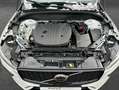Volvo XC60 XC60 B5 B AWD Plus Dark Weiß - thumbnail 8