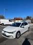 Volkswagen Golf 8 TSI Weiß - thumbnail 3