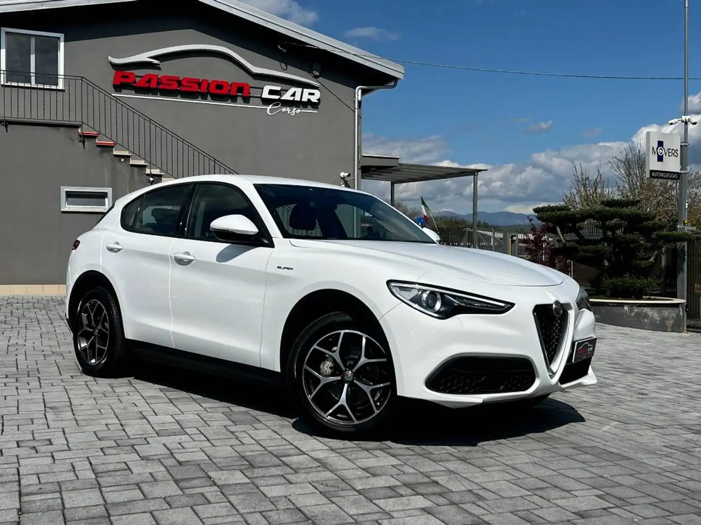 Alfa Romeo Stelvio 2.2 t Executive Q4 190cv auto Bianco - 1