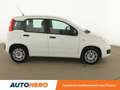 Fiat Panda 1.0 Hybride BSG Panda Blanc - thumbnail 7