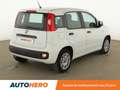 Fiat Panda 1.0 Hybride BSG Panda Blanc - thumbnail 6