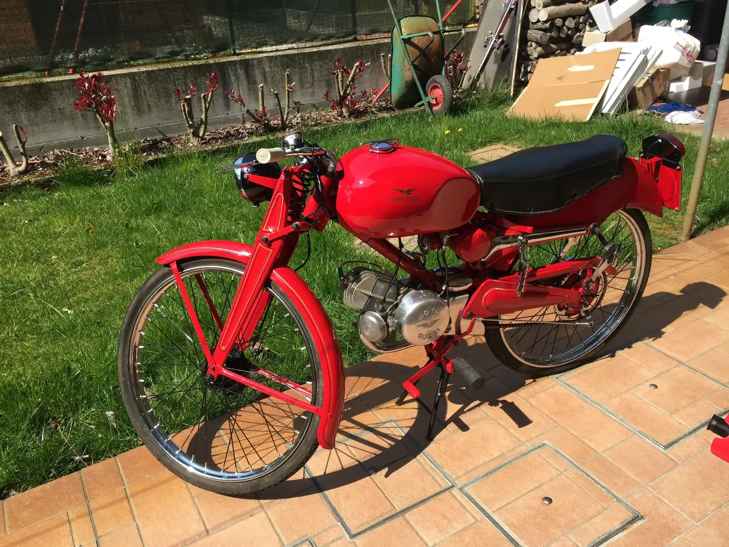 Moto Guzzi Cardellino Cardellino 65 anno 1952 crvena - 2