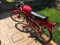 Moto Guzzi Cardellino Cardellino 65 anno 1952 crvena - thumbnail 5