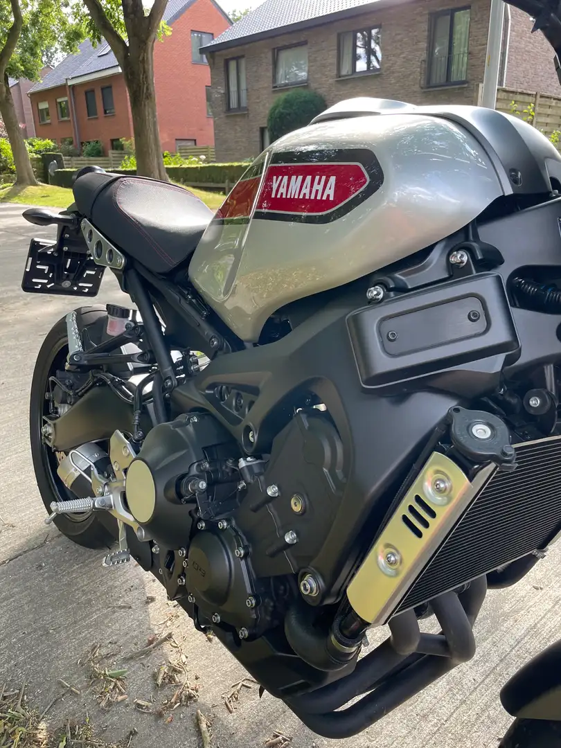 Yamaha XSR 900 Gris - 2