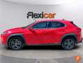 Lexus UX 250h 2.0 Business Rojo - thumbnail 7