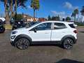 Ford EcoSport 1.0 ecoboost Active s&s 125 CV Bianco - thumbnail 3