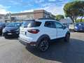 Ford EcoSport 1.0 ecoboost Active s&s 125 CV Bianco - thumbnail 6
