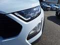 Ford EcoSport 1.0 ecoboost Active s&s 125 CV Blanc - thumbnail 16