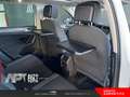 Volkswagen Tiguan Tiguan 1.6 tdi Business 115cv Bianco - thumbnail 20